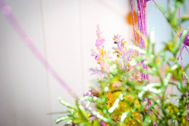 Yapay dallarında beyaz bir arka plan görüntüsü ile duvar kağıtları.