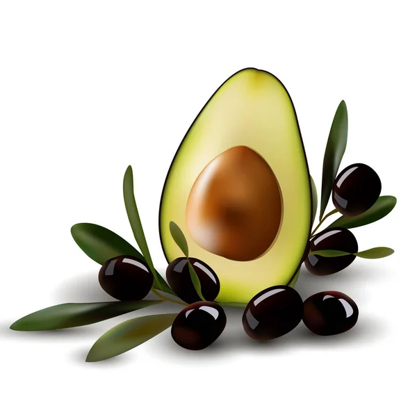 Half an avocado with olive branches. — Stock Vector