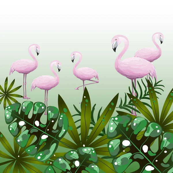 Bannière tropicale avec flamants roses — Image vectorielle