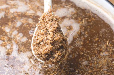 ev biralarından kaliteli malt yapma işlemi. Kraft bira arpa üzerinden bir
