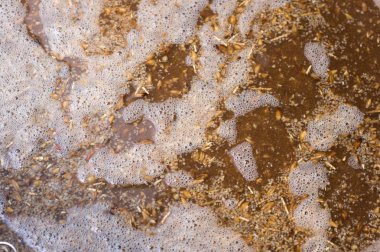 ev biralarından kaliteli malt yapma işlemi. Kraft bira arpa üzerinden bir