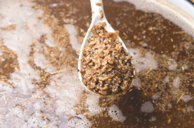 ev biralarından kaliteli malt yapma işlemi. Kraft bira arpa üzerinden bir