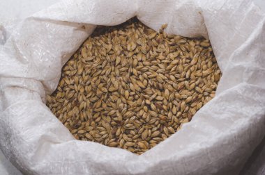 Karamel malt bir çantada. Craft tahıl arpa soluk bira bira