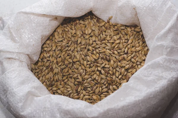Caramel malt in a bag. Craft beer brewing from grain barley pale — Stock Photo, Image