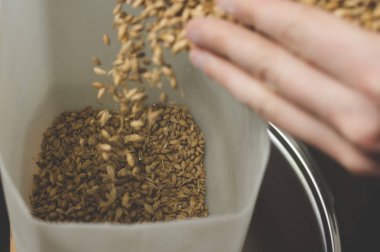 Daha fazla taşlama için ev yapımı bir değirmen içine düşen malt. Zanaat olması