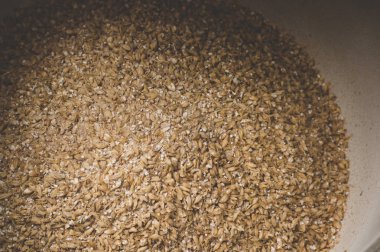 Arpa malt yakın çekim öğütülmüş taneleri. Craft gelen bira bira 