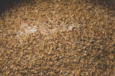 Arpa malt yakın çekim öğütülmüş taneleri. Craft gelen bira bira 