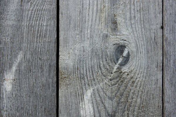 Grey wood texture. Abstract background, empty template