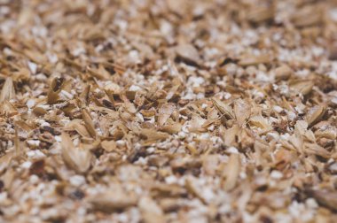 Arpa malt yakın çekim öğütülmüş taneleri. Craft gelen bira bira 