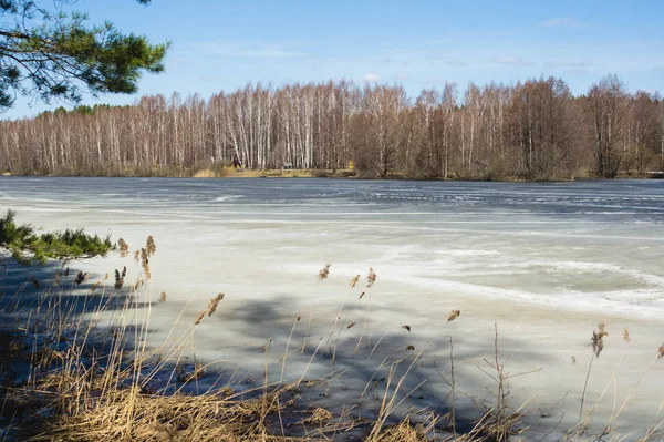 Superfície de um lago congelado em uma floresta decídua com árvores nuas a — Fotografia de Stock