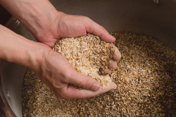 Male hands from which ground malt pours out. good attitude to cr