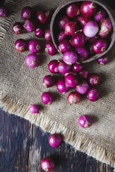 Frische violette Schalotten — Stockfoto