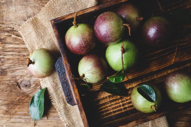 Olgun mor Starapples