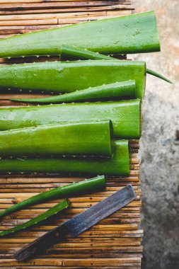 taze aloe vera
