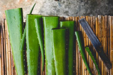 taze aloe vera