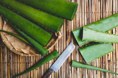 taze aloe vera