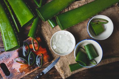 taze aloe vera