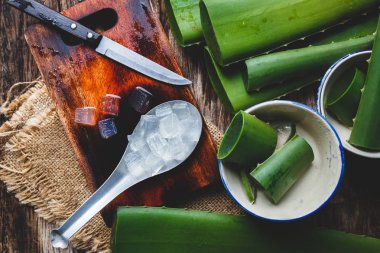 taze aloe vera