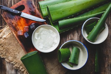 taze aloe vera