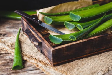 taze aloe vera