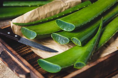 taze aloe vera