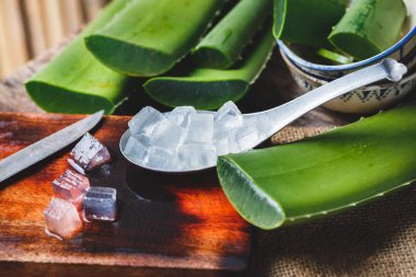 taze aloe vera