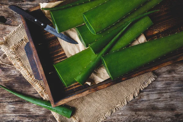 Aloe vera segar — Stok Foto