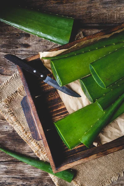 Aloe vera segar — Stok Foto