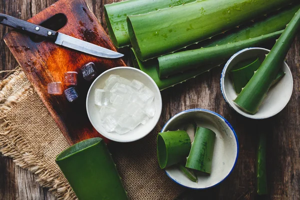 Aloe vera fresca — Foto Stock