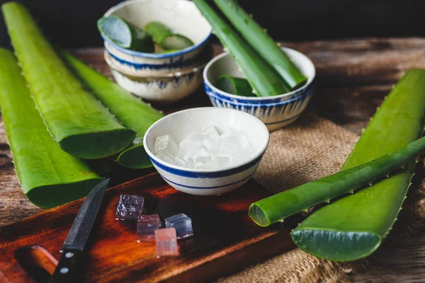 Färsk aloe vera — Stockfoto