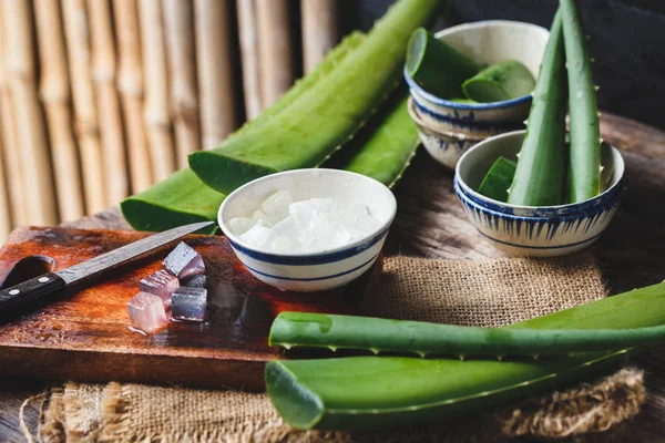 Taze aloe vera — Stok fotoğraf