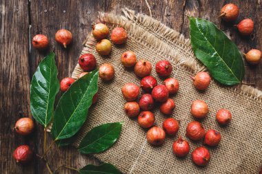 Taze Vietnamca incir