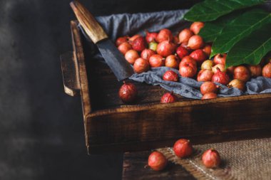 Taze Vietnamca incir