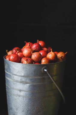 Taze Vietnamca incir