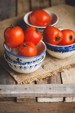 Taze olgun domatesler 