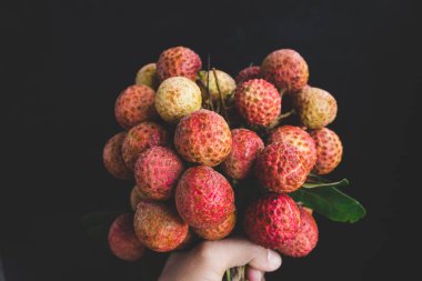 Olgun Vietnam Lychees