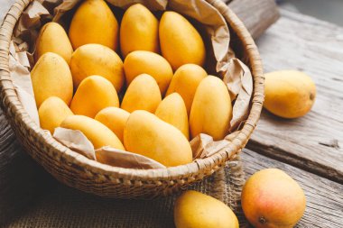 taze olgun Mango