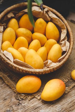taze olgun Mango