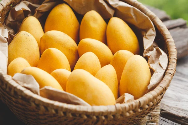 taze olgun Mango