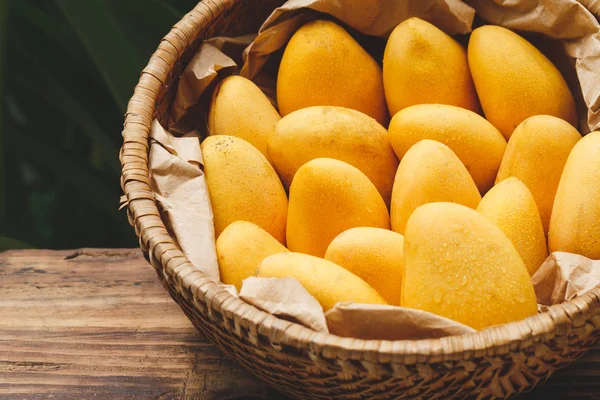 taze olgun Mango