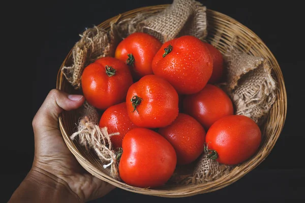 베트남에서 토마토 — 스톡 사진