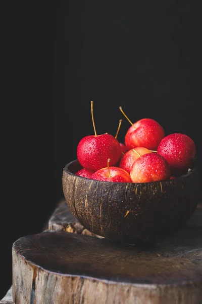 Rode Kleine Appels Het Oude Hout — Stockfoto