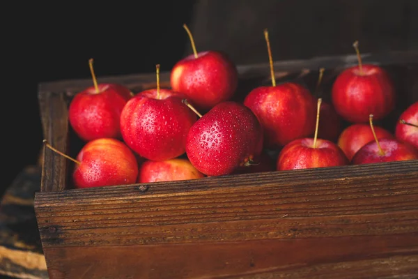 Red Little Apples Old Wood — Stock Photo, Image