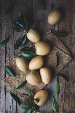 Koyu arka plan üzerinde sapodilla meyve