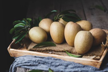 Koyu arka plan üzerinde sapodilla meyve