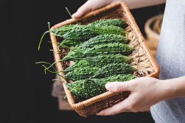 Koyu arka plan üzerinde yeşil acı kavun