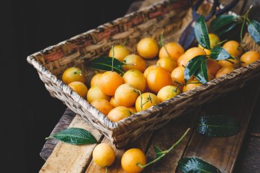 Marian Erik meyve-marian mango meyve-Erik mango meyve