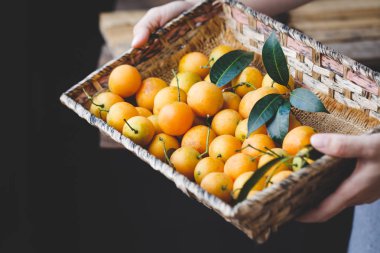 Marian Erik meyve-marian mango meyve-Erik mango meyve