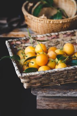 Marian Erik meyve-marian mango meyve-Erik mango meyve