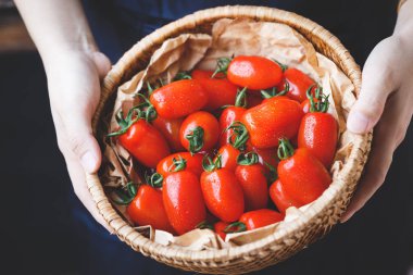 Erik domates-domates